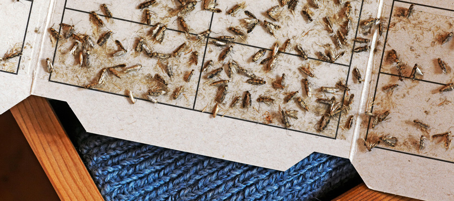 control de plagas en productos textiles